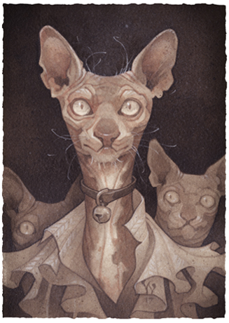 Costly Thy Habit: hairless Sphynx cat illustration. art by Wylie Beckert